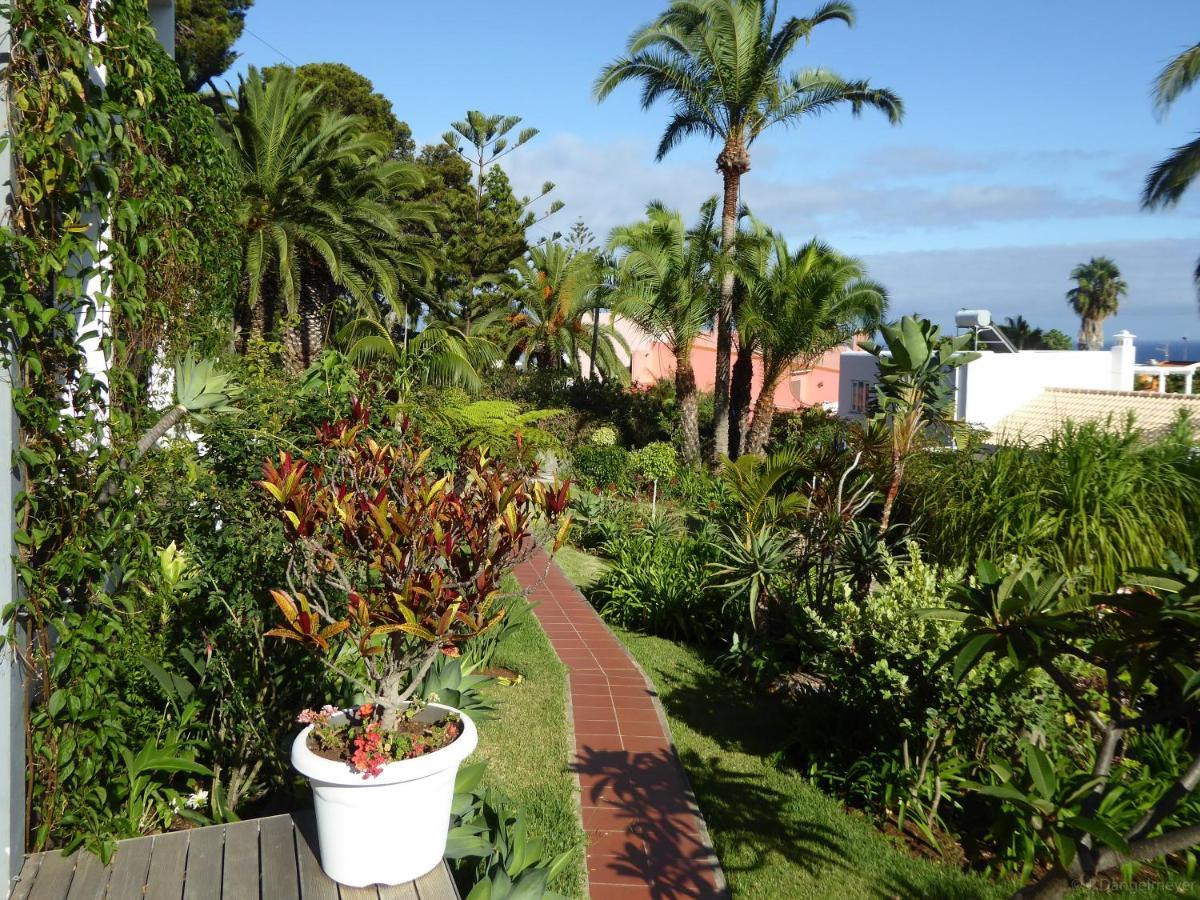 Villa Erika Madeira Caniço Eksteriør billede