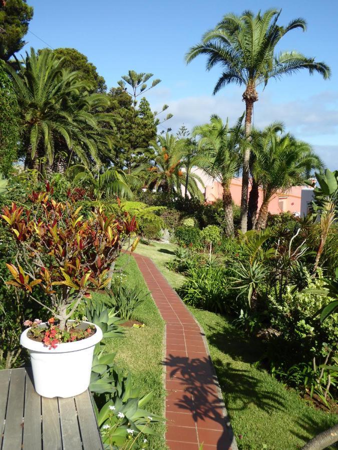 Villa Erika Madeira Caniço Eksteriør billede