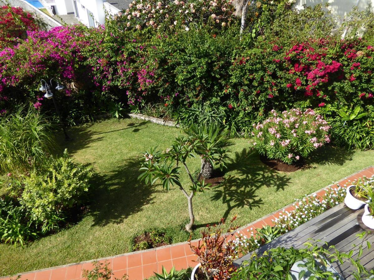 Villa Erika Madeira Caniço Eksteriør billede